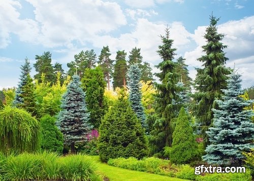 Collection of plants for landscaping 25 UHQ Jpeg