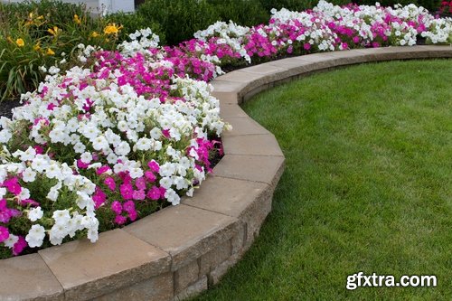 Collection of plants for landscaping 25 UHQ Jpeg