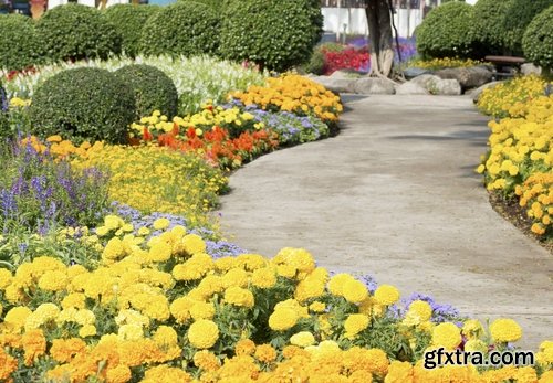 Collection of plants for landscaping 25 UHQ Jpeg