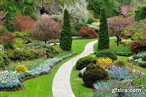 Collection of plants for landscaping 25 UHQ Jpeg