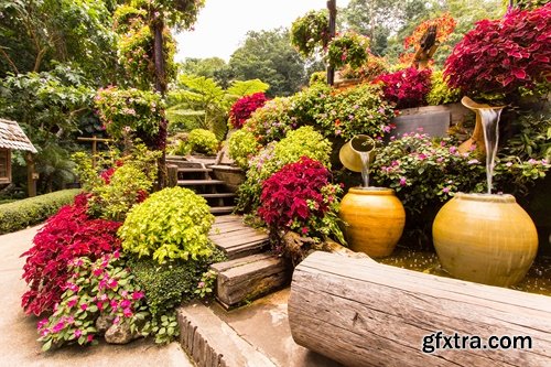 Collection of plants for landscaping 25 UHQ Jpeg