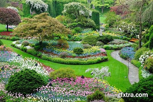 Collection of plants for landscaping 25 UHQ Jpeg
