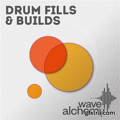 Wave Alchemy Drum Fills and Builds