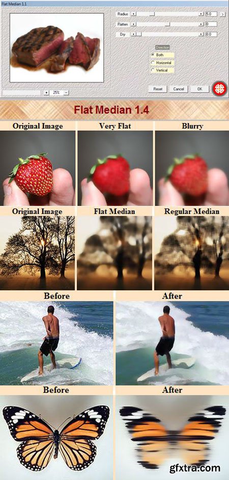Flat Median 1.4 Photoshop Plug-in Flat Median 1.4 Photoshop Plug-in