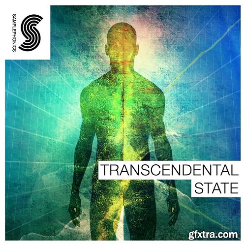 Samplephonics Transcendental State MULTiFORMAT-DISCOVER Samplephonics Transcendental State MULTiFORMAT-DISCOVER