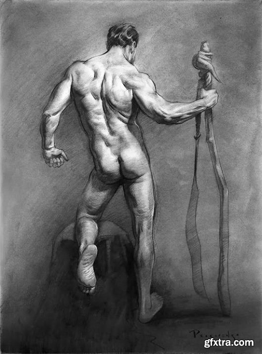 Proko - Figure drawing fundamentals