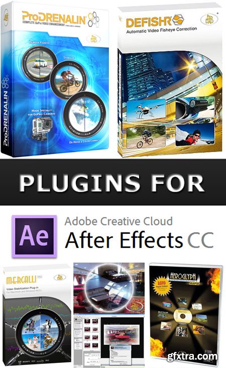 ProDAD Plugins Bundle 2014 (17.12.2024)