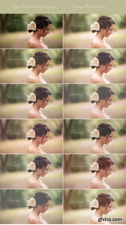 Blue Dandelion Photography - Vintage Matte Action Set