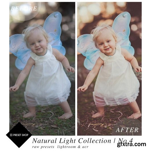 Preset Shop - Natural Light Lightroom Presets Collection