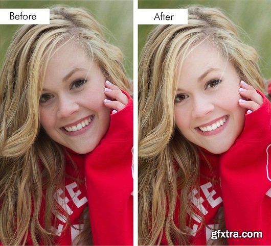 Prett Presets - Perfect Portrait: Retouch & Makeup Brush Collection