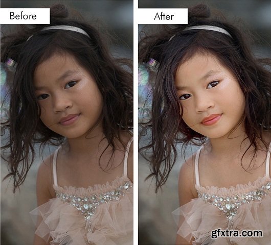 Prett Presets - Perfect Portrait: Retouch & Makeup Brush Collection