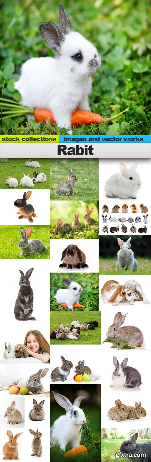 Rabit,25 x UHQ JPEG