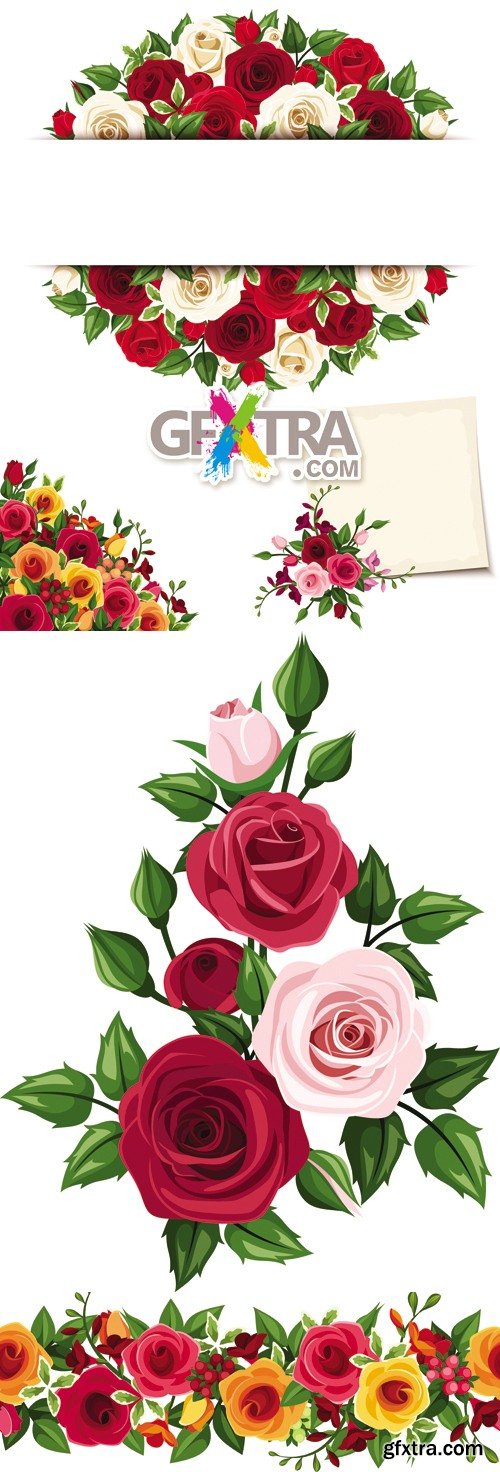 Roses Cards Vector
