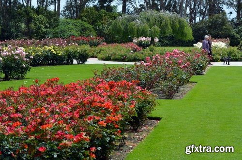 Collection of new Landscaping #3-25 UHQ Jpeg