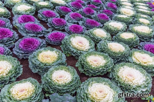 Collection of new Landscaping #3-25 UHQ Jpeg