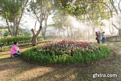 Collection of new Landscaping #3-25 UHQ Jpeg