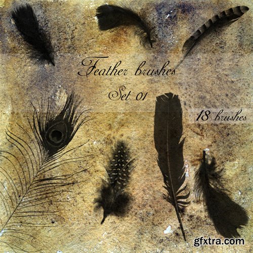 Feather Brushes Set 1