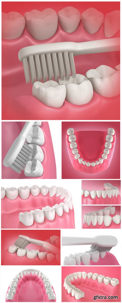 Teeth and toothbrush, dentistry - stock photos Teeth and toothbrush, dentistry - stock photos