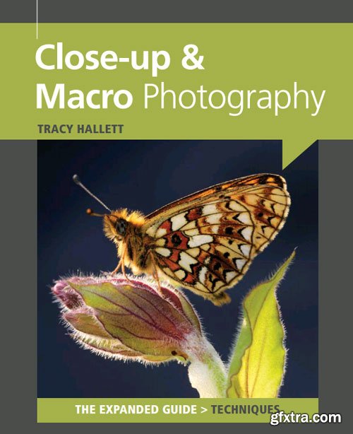 Black & White Photography Special Issues - Close up & Macro Photography