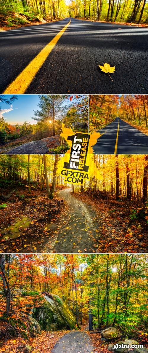 Stock Photo - Autumn Road