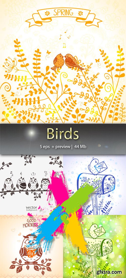 Birds