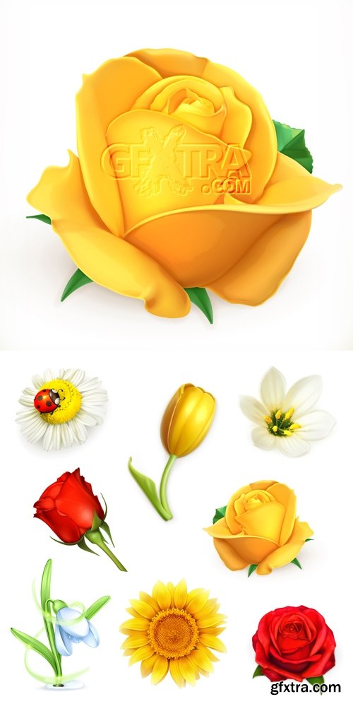 Realistic Flowers Vector 2