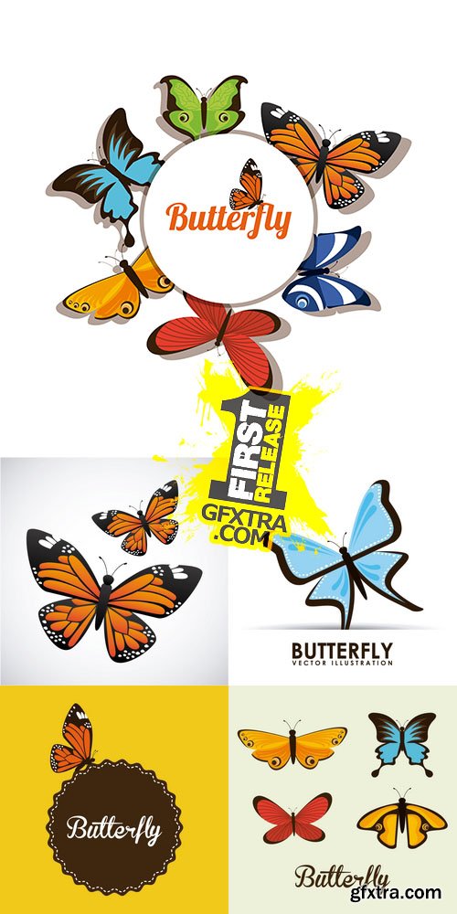 Vector - Butterfly
