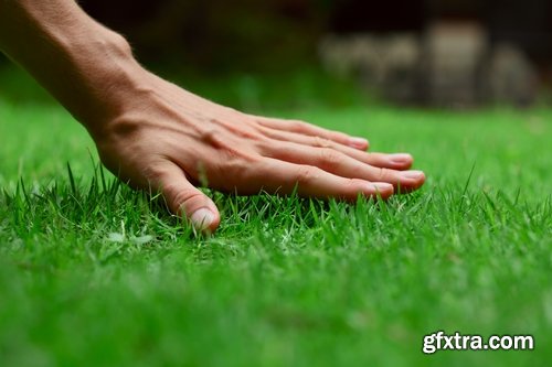 Collection of different beautiful lawn 25 HQ Jpeg