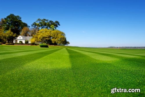 Collection of different beautiful lawn 25 HQ Jpeg