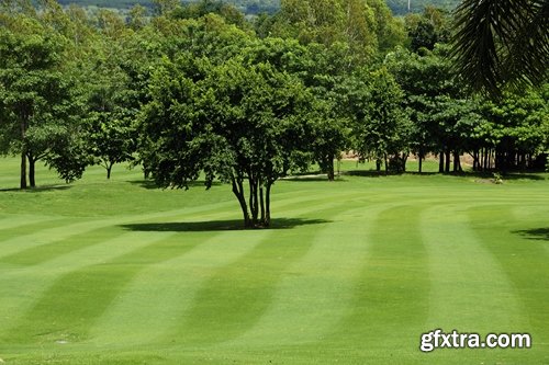 Collection of different beautiful lawn 25 HQ Jpeg