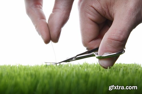 Collection of different beautiful lawn 25 HQ Jpeg