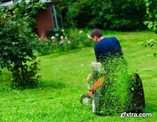 Collection of different beautiful lawn 25 HQ Jpeg