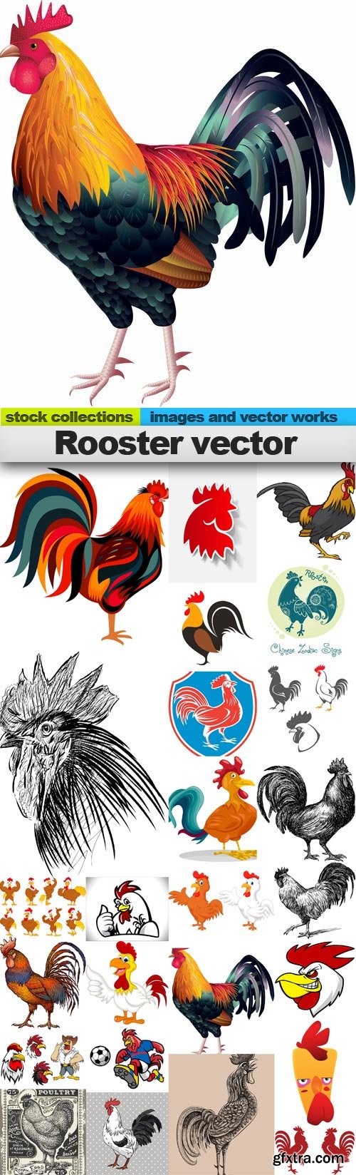 Rooster vector,25 x EPS