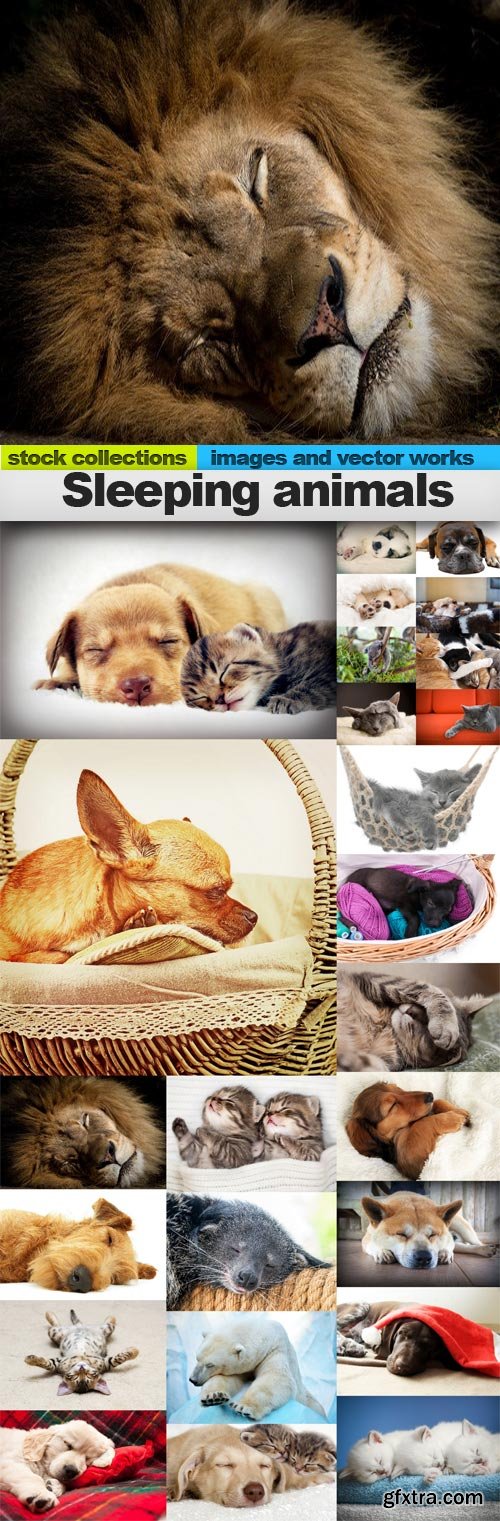 Sleeping animals,25 x UHQ JPEG