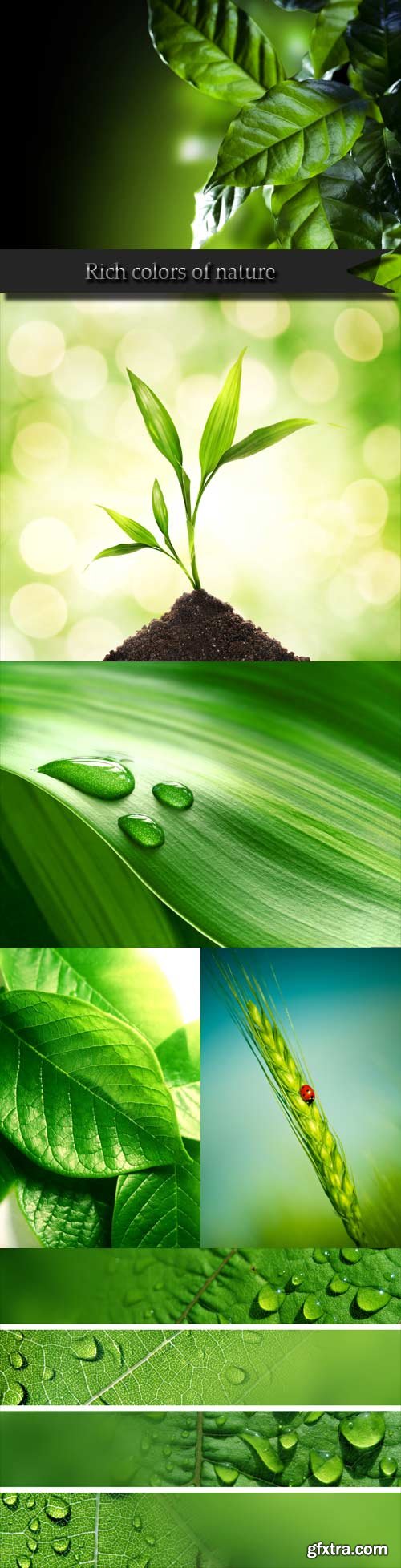 Rich colors of nature Rich colors of nature