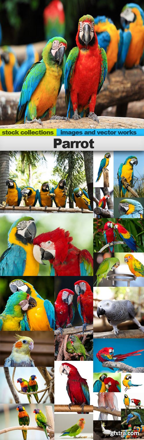 Parrot,25 x UHQ JPEG