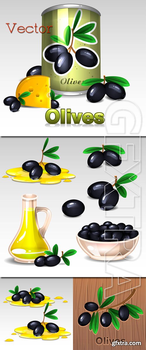 Branches of black olives in Vector Branches of black olives in Vector