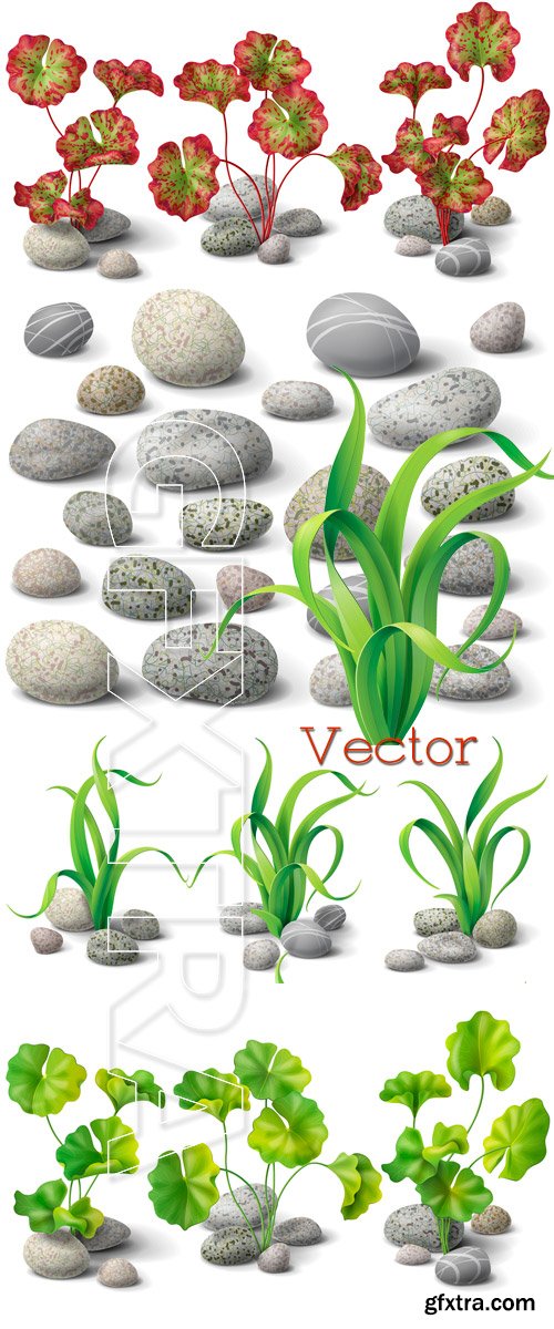 Pebbles and beautiful leaves in Vector Pebbles and beautiful leaves in Vector