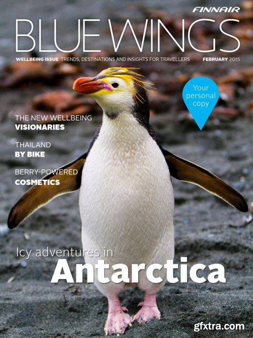 Blue Wings - February 2015