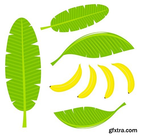 Bananas Collection - Vector Stock, 25xEPS