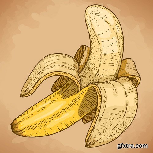 Bananas Collection - Vector Stock, 25xEPS