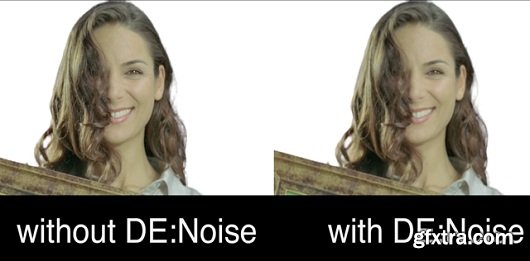 REVisionFX DE:Noise v3.0.1 for After Effects and Premiere Pro