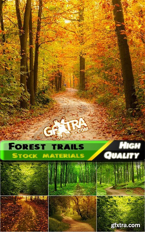 Beautiful pictures of forest trails and roads - 25 HQ Jpg