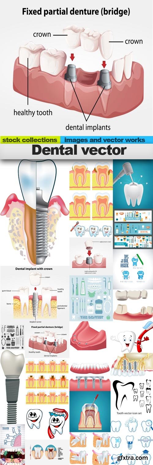 Dental vector,25 x EPS