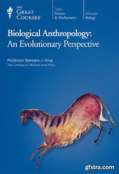 Biological Anthropology: An Evolutionary Perspective