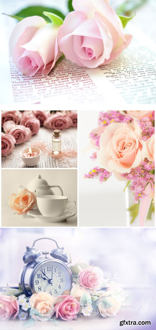 Gentle background with roses - stock photos Gentle background with roses - stock photos