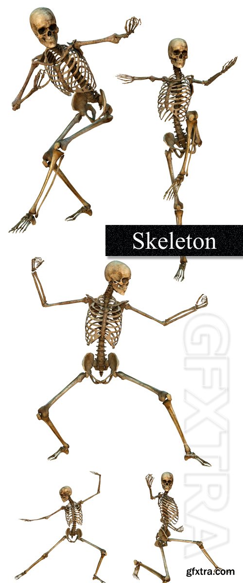Skeletons in movement on a white background Skeletons in movement on a white background