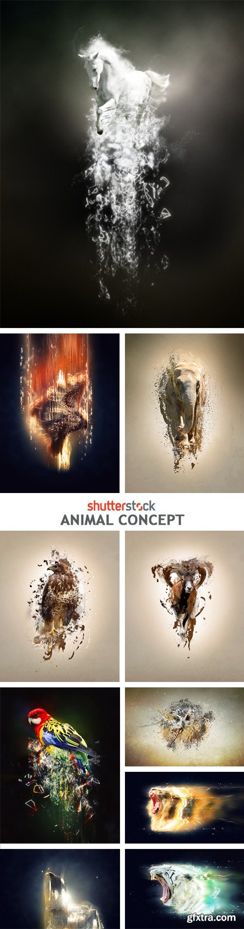 Animal Concept - 25xJPG