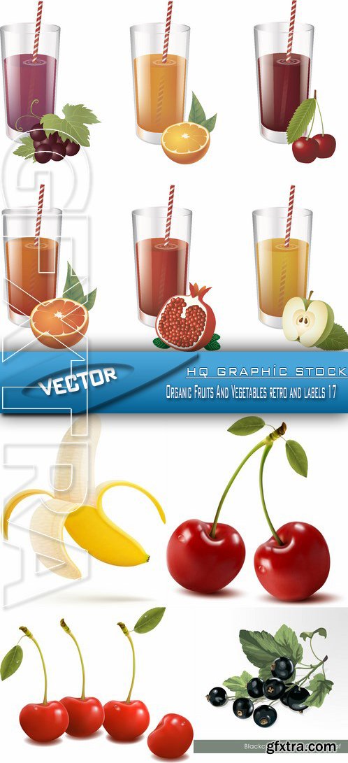 Stock Vector - Organic Fruits And Vegetables retro and labels 17
