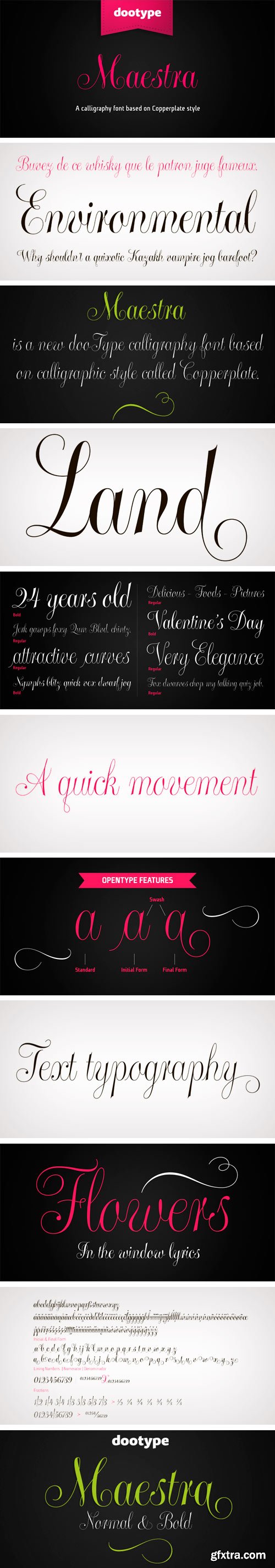 Maestra Font Family - 2 Fonts $45